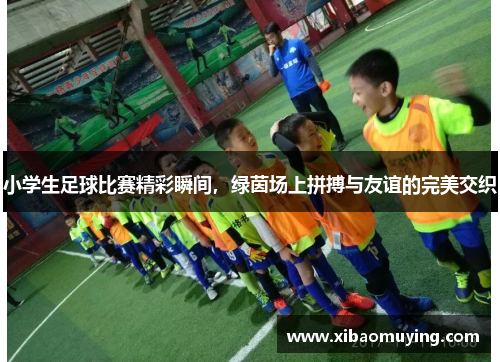 小学生足球比赛精彩瞬间，绿茵场上拼搏与友谊的完美交织