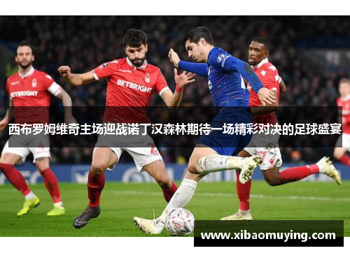 西布罗姆维奇主场迎战诺丁汉森林期待一场精彩对决的足球盛宴